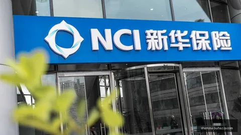 专家 2026年最新珍妮申请禁售未果，等待沃尔特通知